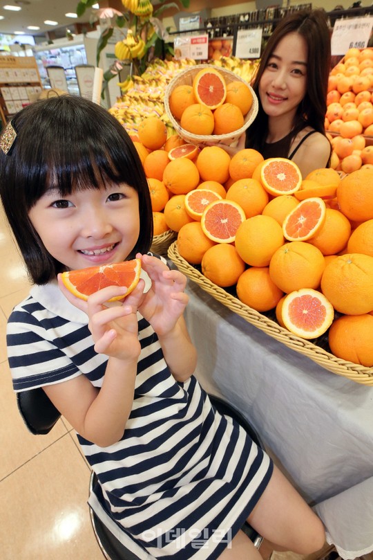 [포토]롯데마트에서 카라카라 오렌지 들여가세요