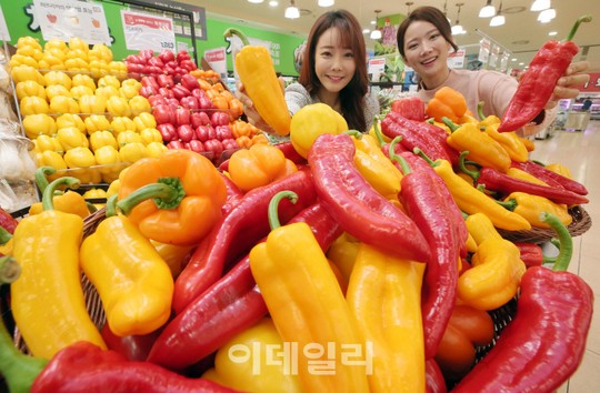 [포토]롯데마트, 당도 높은 트리벨리 파프리카 선봬