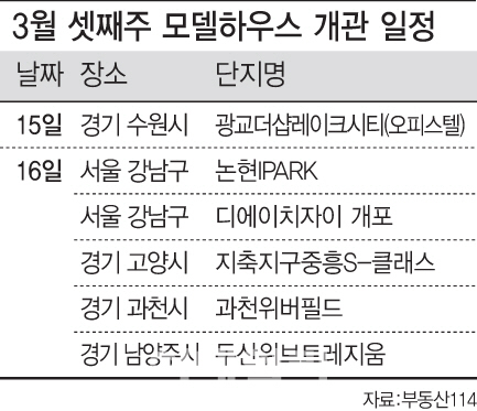 로또 단지 디에이치자이 개포 16일 모델하우스 오픈