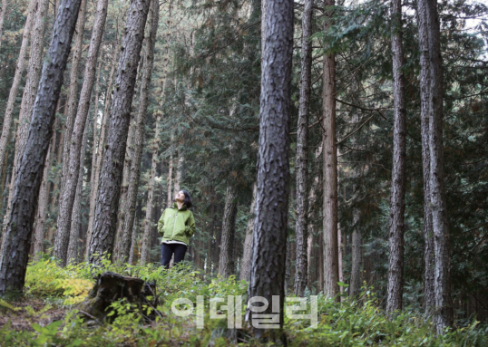 산림청, ‘여행가기 좋은 우수 산촌생태마을’ 화보집 발간