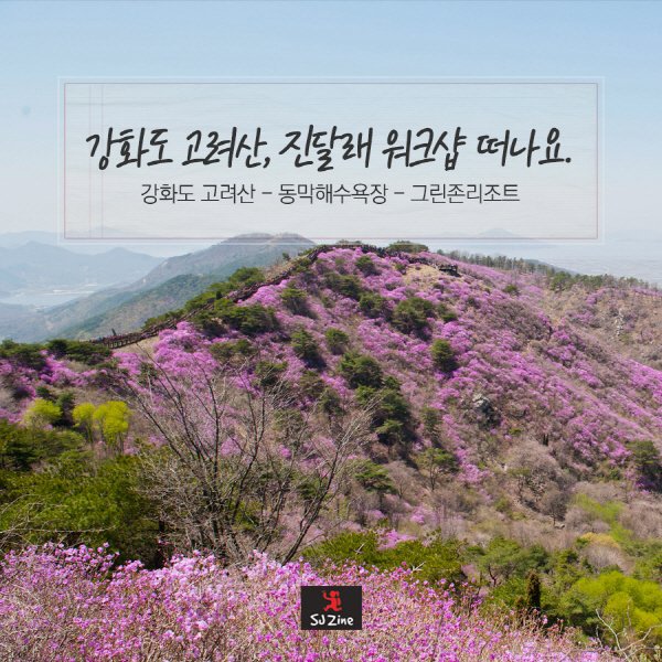 강화도 고려산, 진달래 워크샵 떠나요.
