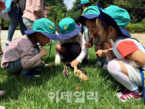 자연과 교감하면서 함께 성장하는 유아숲체험원 인기