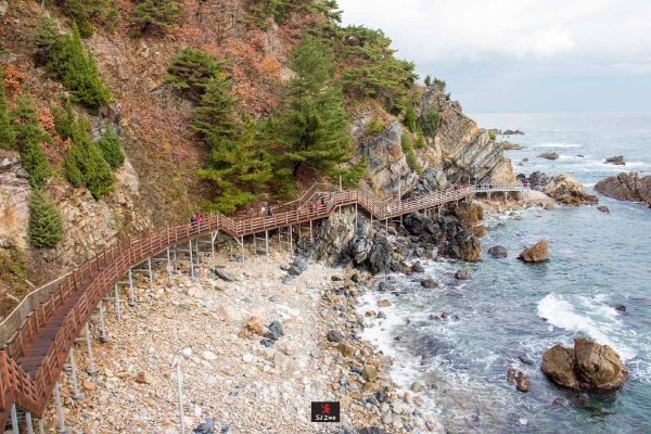 정동 심곡 바다부채길에서 정동진 해돋이까지