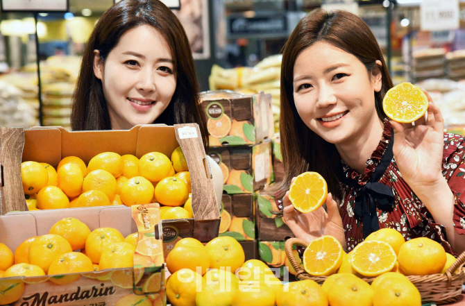 [포토]홈플러스, 제철 맞은 제주 밀감 맛보세요