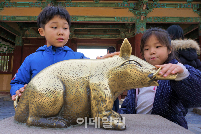 [여행] ‘꿀꿀’할 땐…행운·돈 부르는 ‘돼지투어’