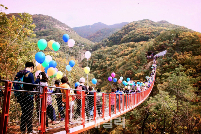 파주 감악산 생태계 복원 본격화…파주시, 국비 5억원 투입