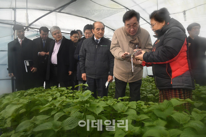 이낙연 총리, 깻잎 생산·유통 현장 방문.. 농가소득 증가 기대