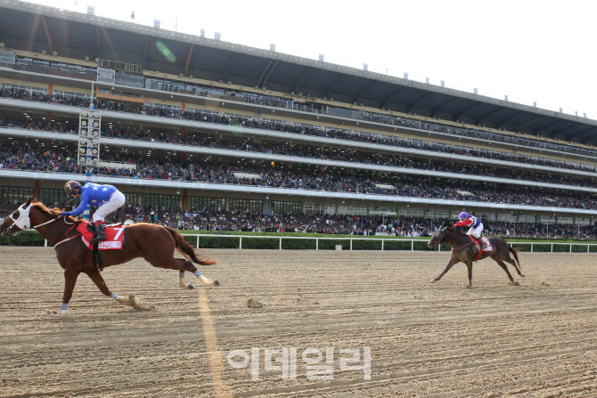 [경마이야기]외국인 아나운서 영입, 한국 경마 국제화 잰걸음