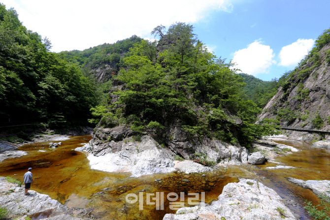 [여행] 한 굽이 돌수록 점입가경…오지 중의 오지 덕풍계곡
