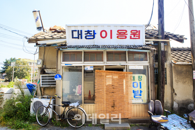 [토박이 명소①] 풍차가 빛나는 언덕  ‘대전 대동하늘공원’