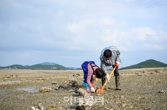 [토박이 명소②] 바다 위를 걷다, 서산 웅도