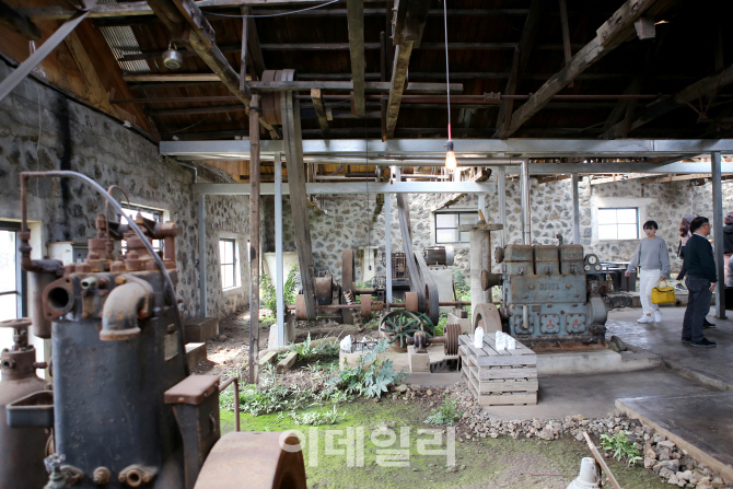 [인싸핫플] 카페가 된 전분공장 앤트러사이트