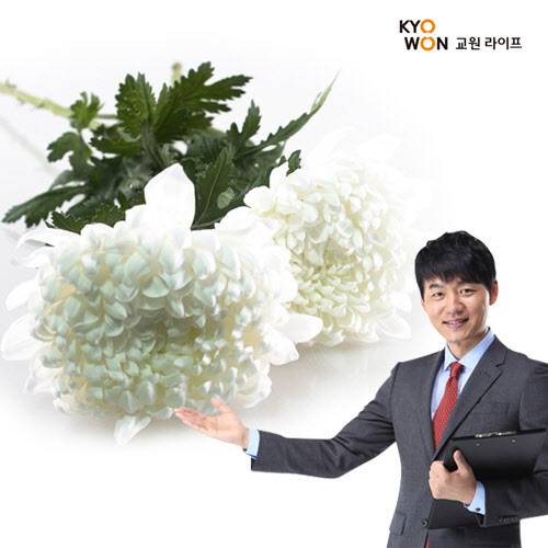 홈앤쇼핑, 교원라이프 다드림 상조상품 출시