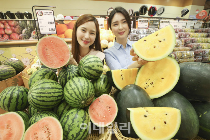 [포토]롯데마트, 애플수박·블랙보스 수박 판매