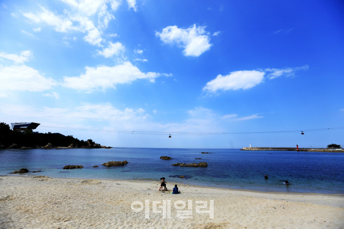 [인싸핫플] 용화에서 장호까지, 바다위를 날다