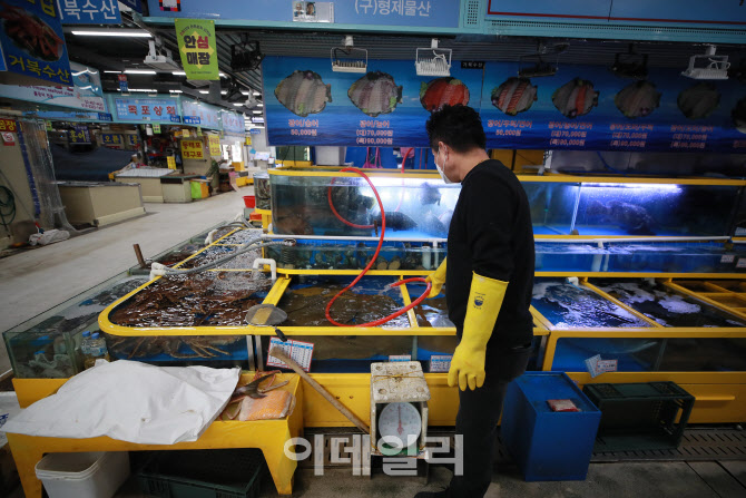 [포토]가락시장 가락몰 1층 폐쇄, 수산물 상태 확인