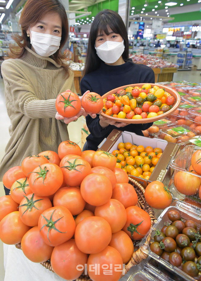 [포토] 농협유통, 슈퍼푸드 토마토