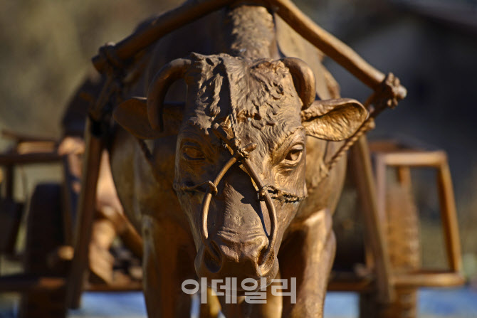 [신축년②] ‘딸랑딸랑’ 달구지에 할배 태운 늙은소의 워낭소리