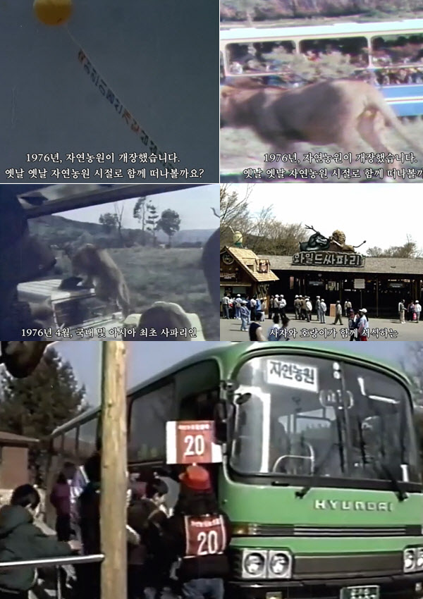 라떼는 자연농원이었지…마흔다섯 살된 에버랜드