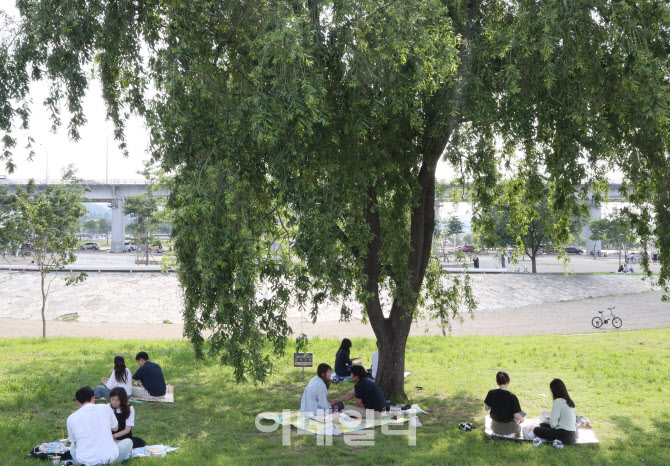 [포토]나무 밑에서 무더위 식히는 시민들