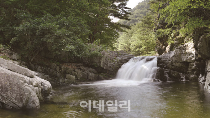 겸재 정선 그림에 나온 포항 내연산 폭포 명승 지정 예고