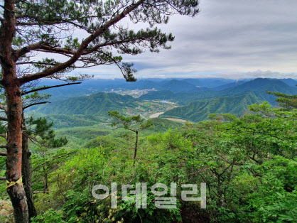 산림청, 이달의 추천 국유림 명품숲으로 태화산 경관숲 선정