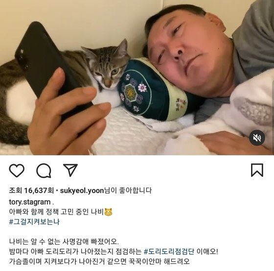 ‘도리도리·쩍벌’ 셀프 디스하다 자살골…윤석열 개·사과 인스타 폭파