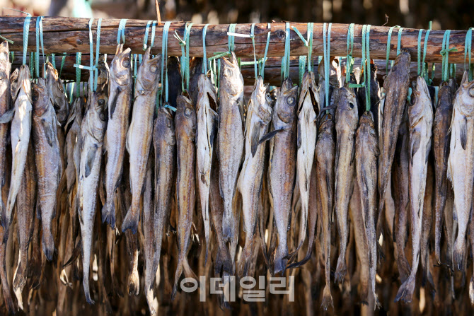 [미식로드] 뜨끈한 황태국 한 그릇에 봄이 스스륵 다가왔다