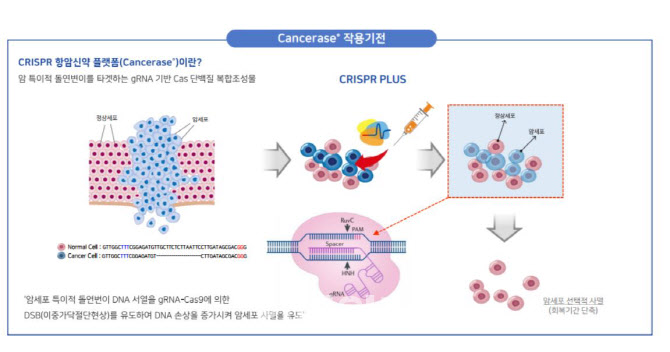 최성화 지플러스생명과학 대표 “국내 가장 효과 뛰어난 유전자가위로 암 정복”