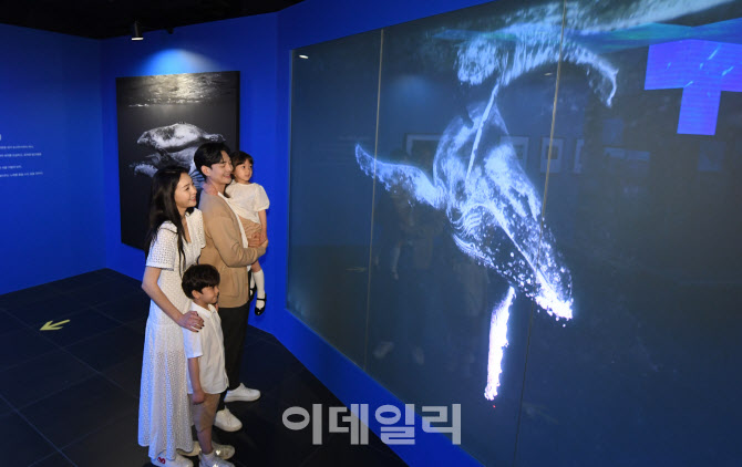 [포토]하늘 아래 숨겨진 도심 속 바다