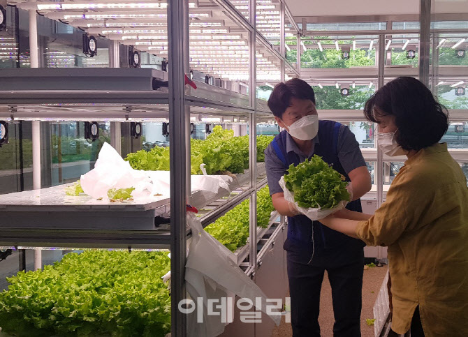 [포토] 하나로마트 창동점, 스마트팜 체험행사