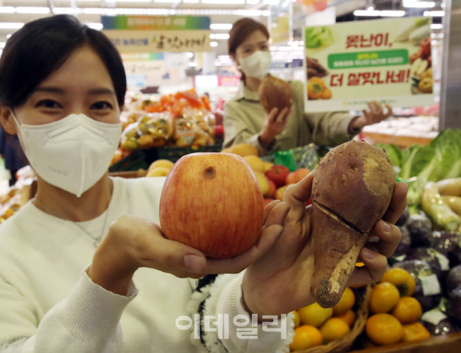 [포토] 양재하나로마트, 못난이 농산물 60% 할인