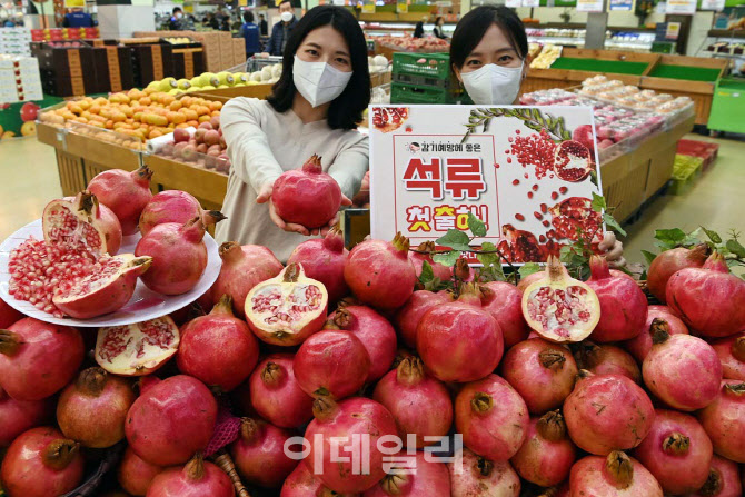 [포토] 농협유통, 석류 첫 출하