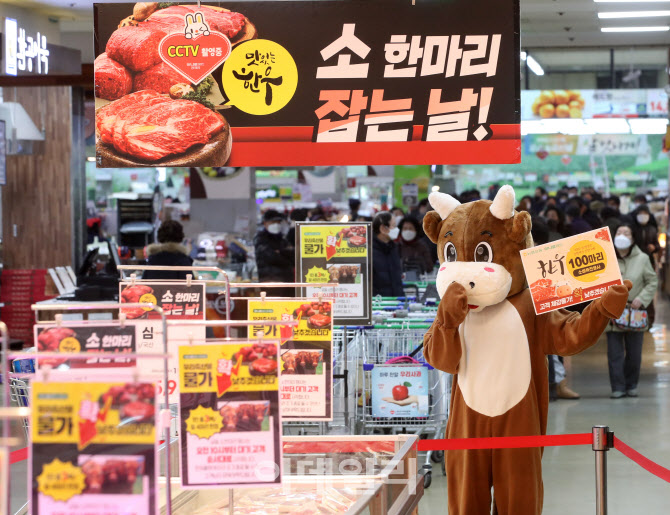 [포토] 하나로마트, 소 한마리 잡는날