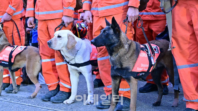 튀르키예서 돌아온 토백이, 가장 먼저 향한 곳은?