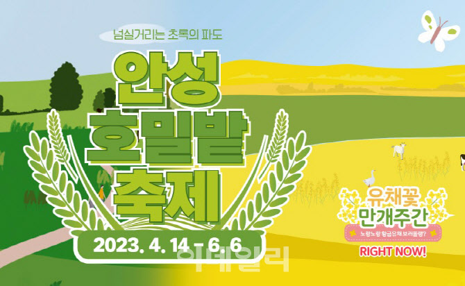 [포토] 농협안성팜랜드, 너랑! 나랑! 노랑! 호밀밭&유채꽃 축제