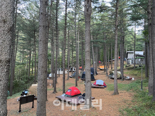올 여름엔 숲속 국립자연휴양림으로 휴가 가볼까