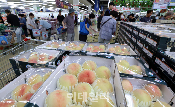 [포토]야채.과일값 들썩
