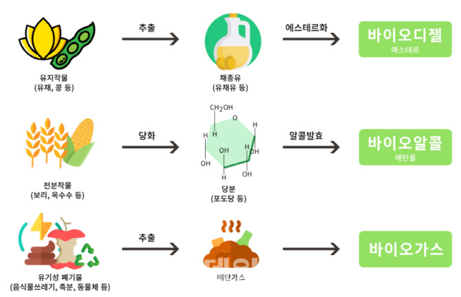 탈탄소 시대, 바이오 연료가 뜬다[미래기술25]