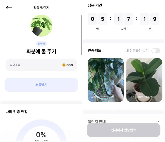 일찍 일어나면 돈 주는 앱이 있다?…4일간 커피값 모았다[티끌모아 짠테크]