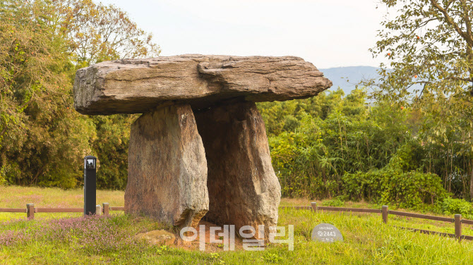 햇볕에 고추 말리던 고창 고인돌, 세계문화유산이 되다 [여행]
