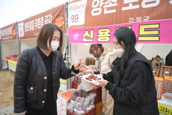 논산시-논산문화관광재단, 내달 8일부터 2023 양촌곶감축제 개최