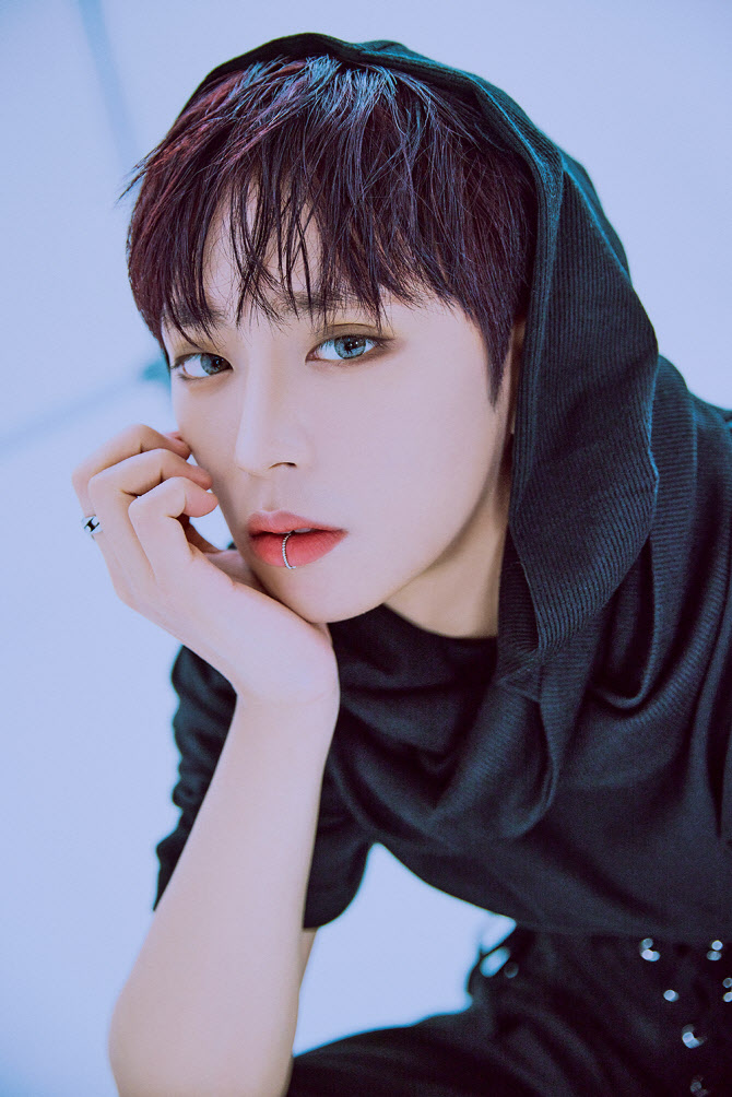다크비 디원 답답함 날리고 커리어하이…판매량 10배 늘어 깜짝[인터뷰]①
