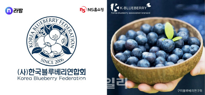 NS홈쇼핑, 라이브커머스에서 전국 블루베리 판매 방송 시작