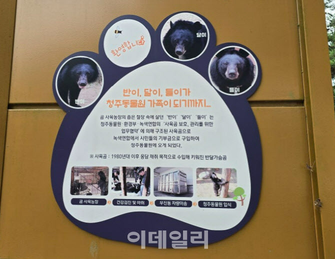 갈비뼈사자처럼 ‘갇혀’보았습니다…‘동물원’ 목적이 뭘까요?[댕냥구조대]