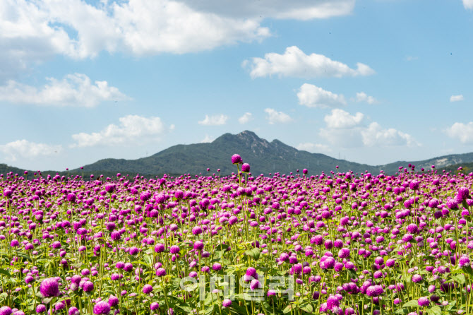 경기관광공사 추천 9월 가볼만한 곳, 생태공원 6선
