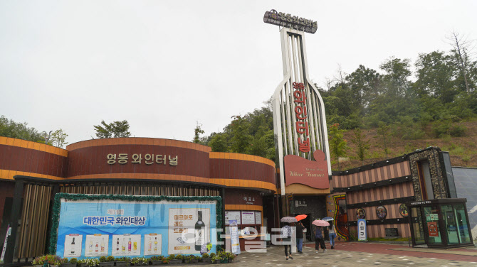‘무실적 여행 할인패스’를 누리다…충북 영동의 디지털 관광주민증