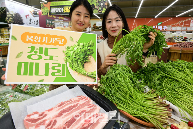 [포토] 농협유통, 청도 미나리 출시