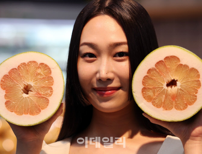 [포토] 핑크 포멜로 출시