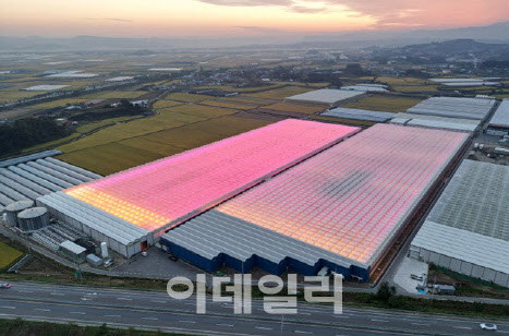 우듬지팜, 현대건설과 토지 계약…“최첨단 유리온실 단지 가속도”